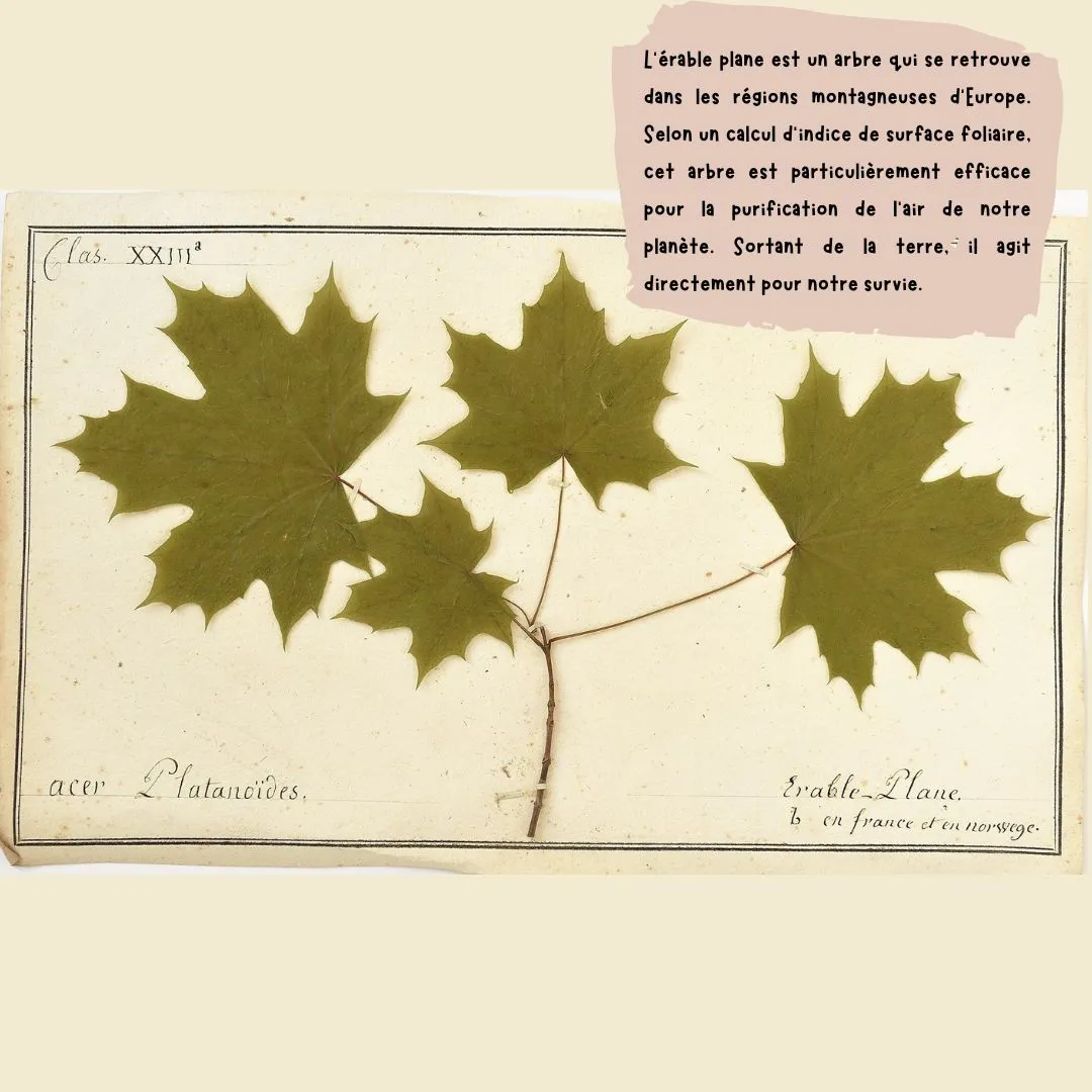 Jour de la Terre 4