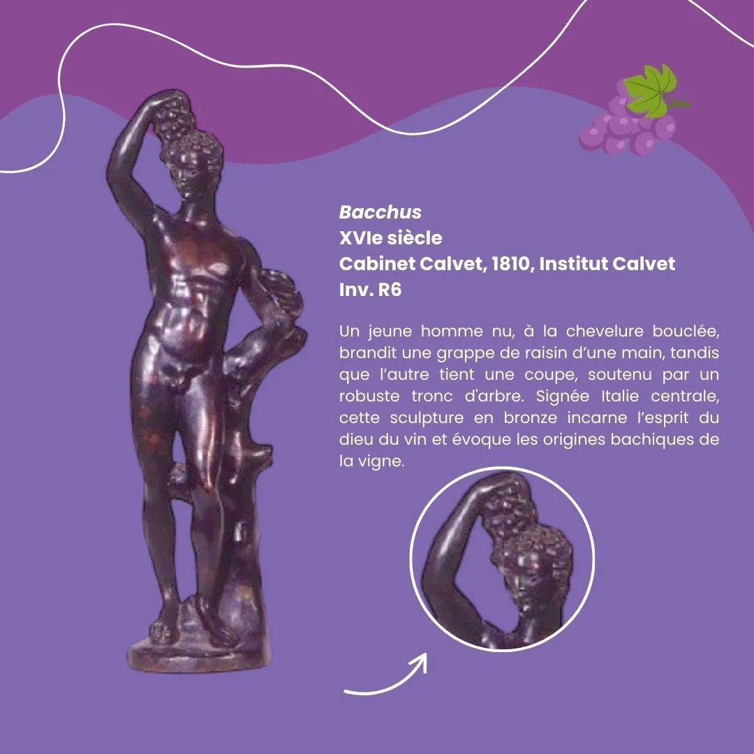 Viticulture 2