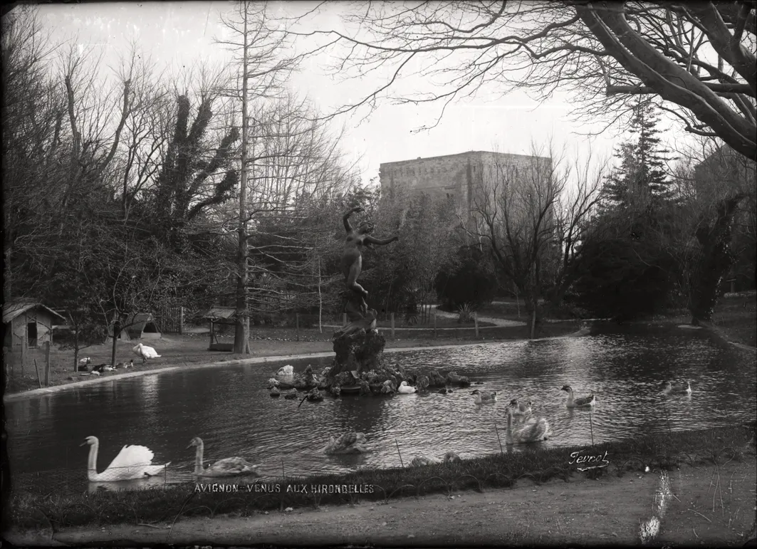  Avignon, rocher des Doms : Bassin de la Vénus aux hirondelles